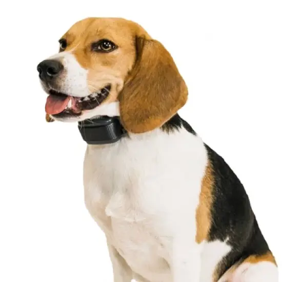 Premier Pet Bark Adjustable Collar - Black image {11}