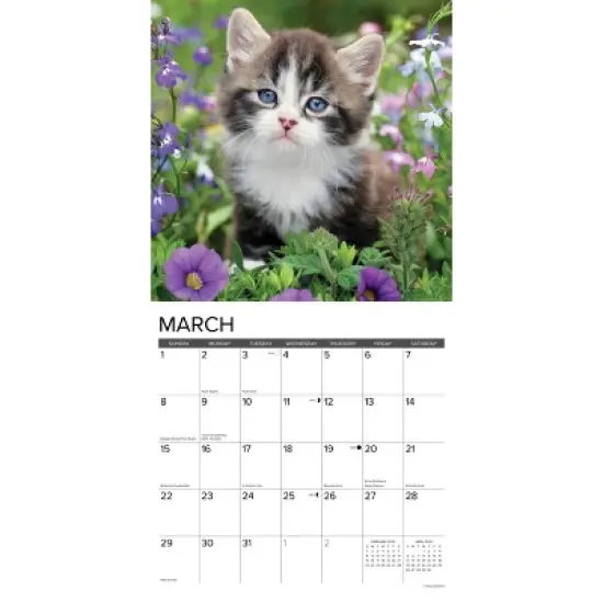 Willow Creek Press 2026 Kittens Wall Calendar image {2}