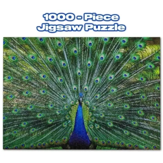 Toynk Peacock Plume Wild Zoo Animal 1000 Piece Jigsaw Puzzle image {2}
