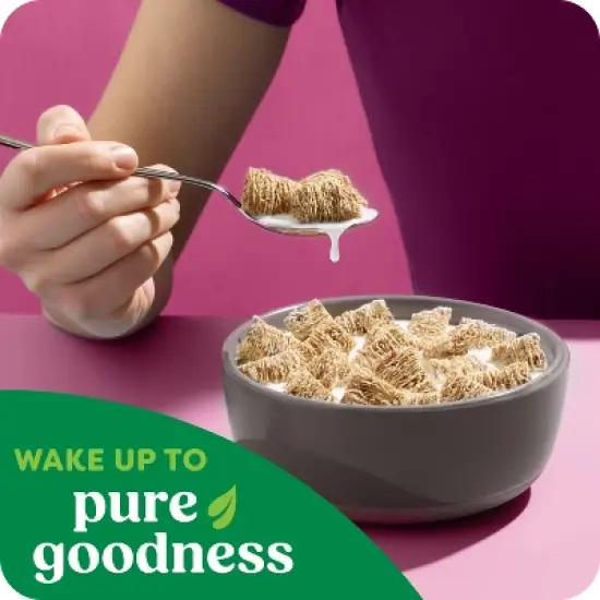 Kashi Organic Berry Fruitful Breakfast Cereal - 17.2oz image {3}