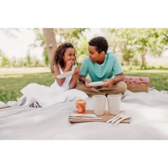 Picnic Time Piccola Picnic Basket Red and White Gingham image {8}