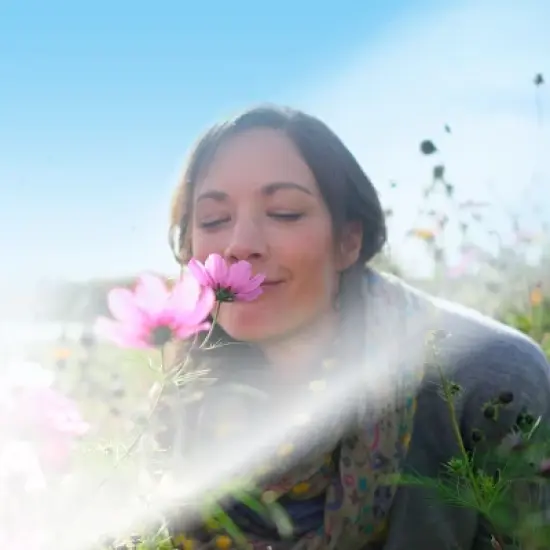 Air Wick Vibrant Essential Mist - Sweet Vanilla & Shea Butter - 0.67 fl oz image {1}