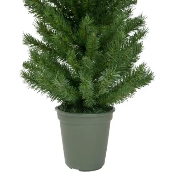 Northlight 4' Potted Virginia Pine Walkway Slim Artificial Christmas Tree - Unlit image {4}
