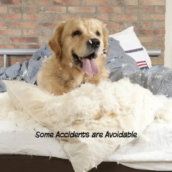 Indoor Pet Gate - 3-Panel Folding Dog Gate for Stairs or Doorways - 54x24-Inch Freestanding Pet Fence for Cats and Dogs by PETMAKER (White) image {2}