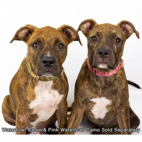 Country Brook Petz Pink Waterfowl Camo Martingale Dog Collar image {4}