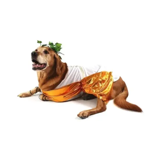 Midlee Toga Dog Costume image {2}
