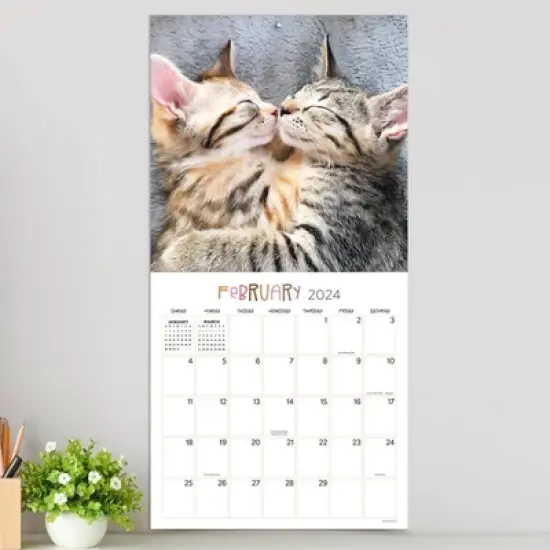 TF Publishing 2024 Wall Calendar 12"x12" Cat Dreams image {2}