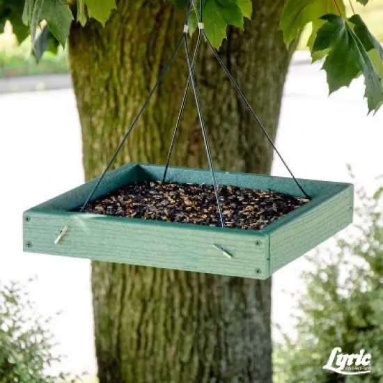 Lyric 18lb Cardinal Sunflower & Safflower Premium Wild Bird Food: Attracts Songbirds, For All Feeders image {9}