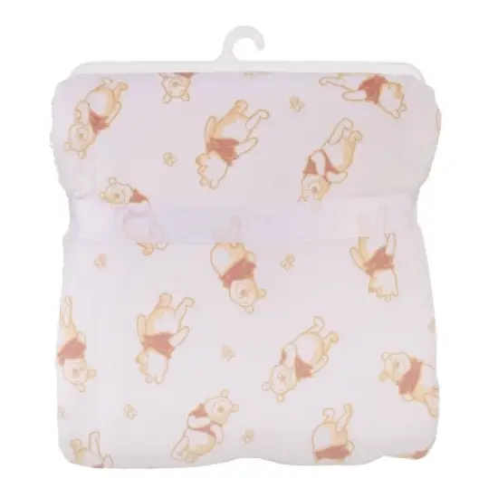 Disney Winnie the Pooh Plush Baby Blanket image {5}