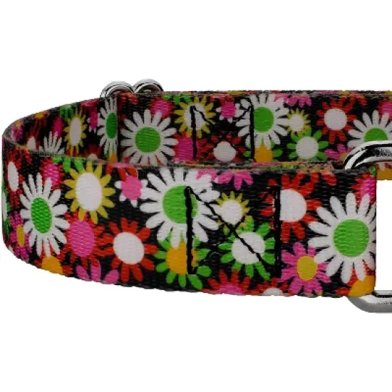 Country Brook Petz Daisy Fields Martingale Dog Collar image {6}