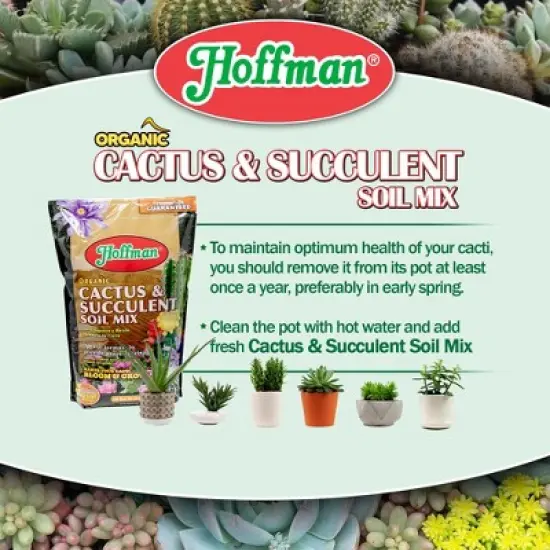 Hoffman Organic Cactus and Succulent Soil Mix to Provide Proper Drainage and Improve Growth in Cacti image {4}