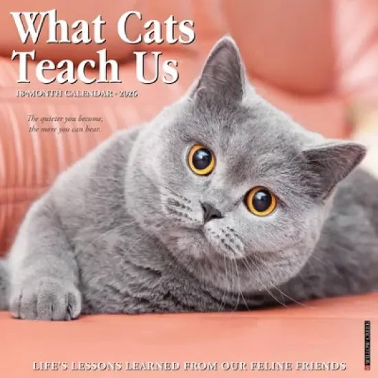Willow Creek Press 12"x12" 2026 What Cats Teach Us Wall Calendar image {5}