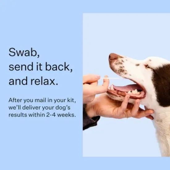 Wisdom Panel Breed Discovery Dog DNA Kit: Most Accurate Dog Breed Identification, Test for 365+ Breeds, MDR1 Health Test, Ancestry, Relatives image {6}