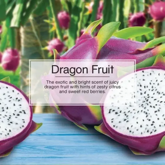 Little Trees 3pk Dragon Fruit Air Fresheners: Car Freshener, Disposable, Non-Powered, Purple, Paper, Keep Out of Reach of Children image {3}