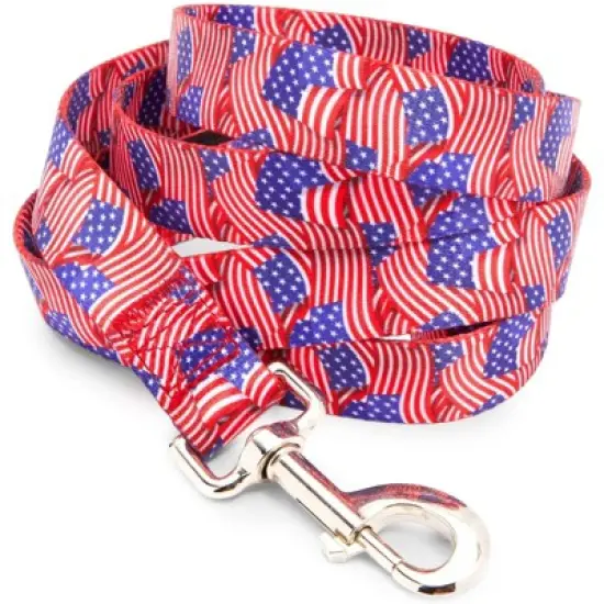Zodaca 2 Piece Set American Flag Collar and Leash for Medium and Large Dogs image {5}