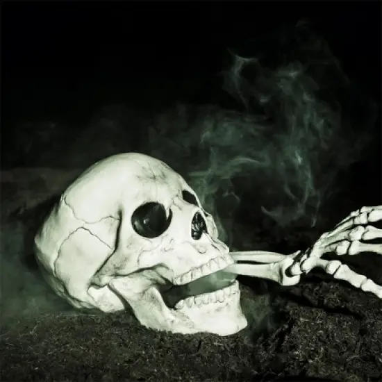 Joyfy Halloween Skeleton Decorations 7.5" Plastic Skull Human Head Bone Indoor Outdoor Decor Spooky Scene Party Favors Haunted House Graveyard Props image {5}