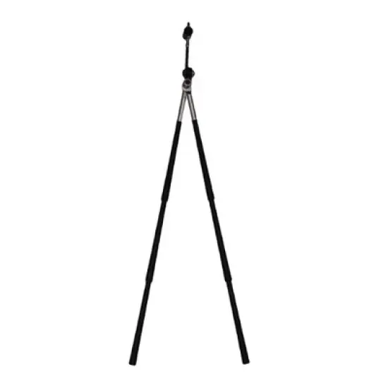 Vortex 8x42 Diamondback Binoculars with GlassPak Harness Case and Birding Bundle image {1}