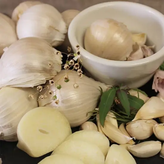 Van Zyverden 3ct Cloves Elephant Garlic image {1}