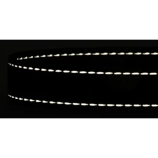 Country Brook Petz Deluxe Woodland Camo Reflective Dog Collar (1 Inch, Large) image {5}