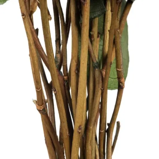 Vickerman 16-22" Natural Botanicals Salal Foliage Bunch image {2}