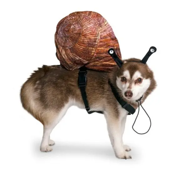 Midlee Snail Headband & Shell Dog Costume image {3}