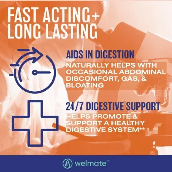 Welmate Bifidobacterium Probiotic Digestive Supplement - 200ct Capsules image {3}