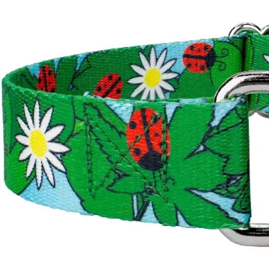 Country Brook Petz - Ladybug Picnic Martingale Dog Collar image {3}