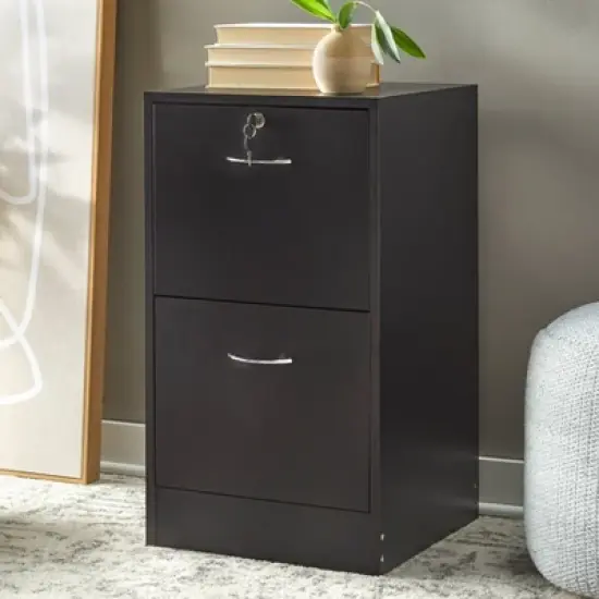 Wilson 2 Drawer Filing Cabinet - Buylateral image {1}