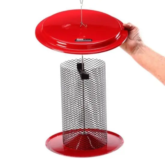 Birds Choice Magnet Mesh Black Oil Sunflower Bird Feeder - Red: Durable Metal, Weather-Resistant, No Assembly Required image {2}
