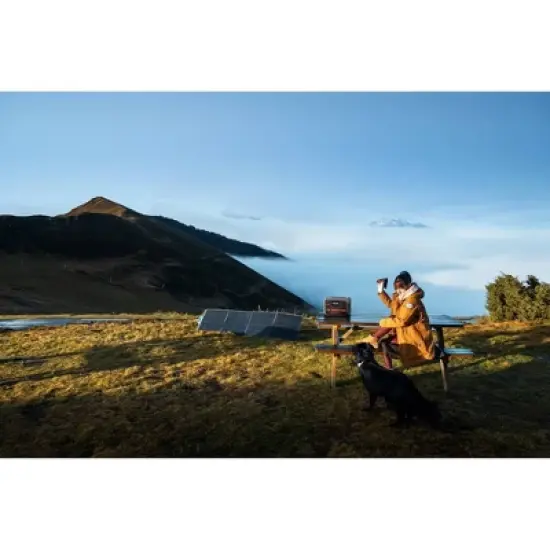 BLUETTI Premium Series 300W Portable Power Stations Black image {8}