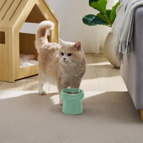 Sam's Pets Tall Tulip 2.0 Pet Bowl in Glossy Mint image {1}