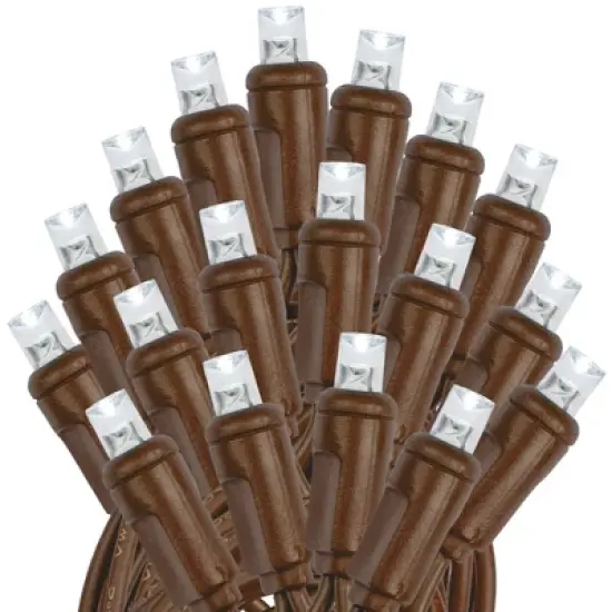 Novelty Lights 100 True Twinkle (100%) LED Solar Powered String Lights 4" Spacing Brown Wire 44 Feet image {2}