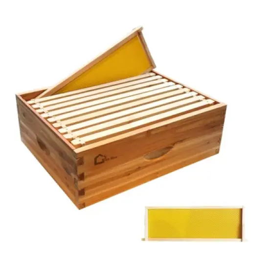 Bee Hive, 10 Frame Medium Super Langstroth Hive Box - Beeswax Dipped with Frames & Wax Foundations for Beekeeping image {8}