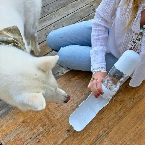 2-in-1 Pet Water Bottle with Treat Compartment - Travel & Training Size + Leakproof 350mL  - Tilley + Me image {9}