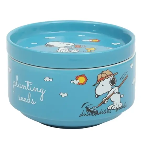 Peanuts Snoopy 6 Pack Stackable 5.5" Decorated Stoneware Bowl Set W/ Plate image {1}