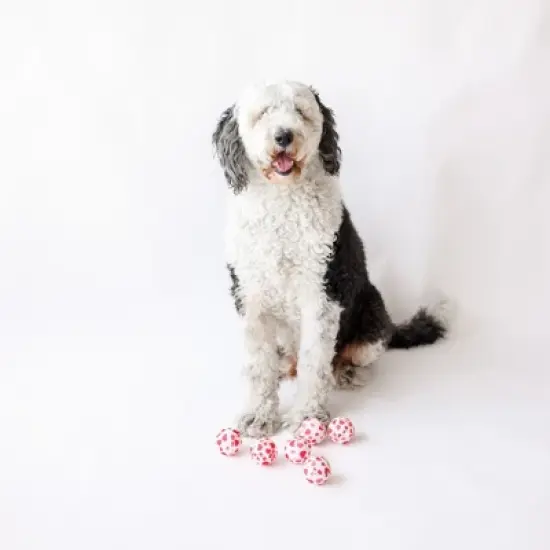 Midlee Valentine's Hearts Dog Tennis Balls Regular image {1}