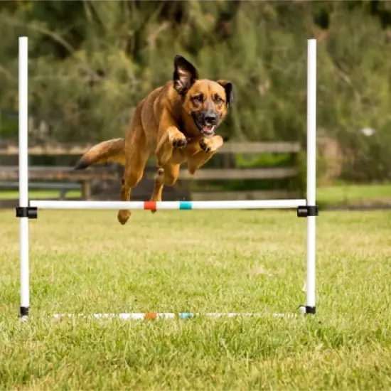 Midlee Dog Agility Bar Jumps- Set of 4 Jumps image {5}