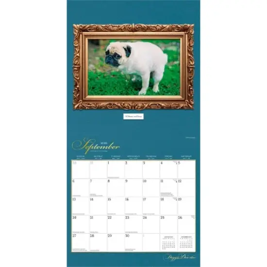 BrownTrout 2026 Doggie Doo-Doo 12"x24" Hanging Square Wall Calendar Plastic-Free image {3}