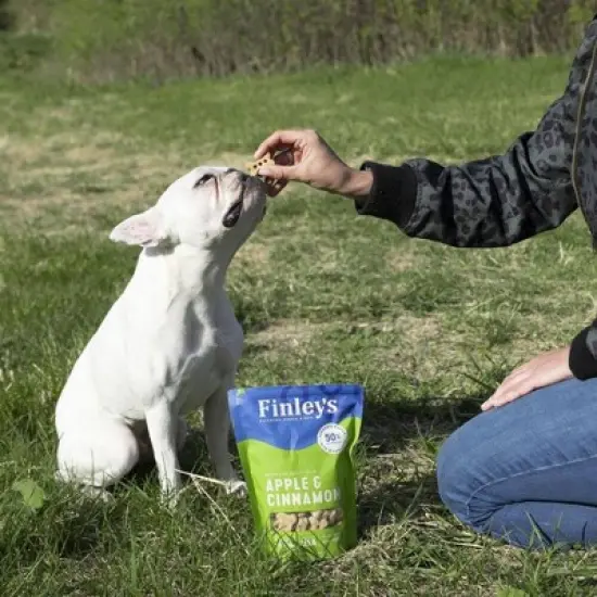 Finley's Apple and Cinnamon Dog Treats image {4}
