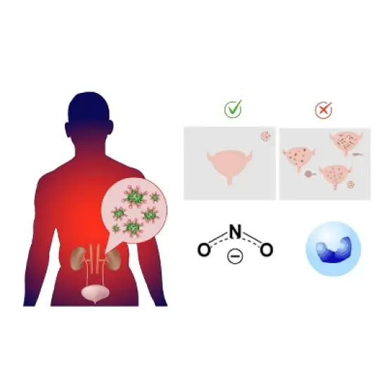 easy@Home Urinary Tract Infection (UTI) Test Strips - 10ct image {2}