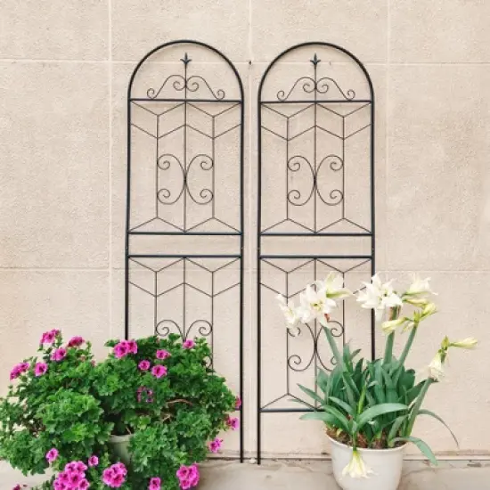 MOEPISY 2 Pack Metal Garden Trellis 71 inch x 19.7 inch Rustproof Trellis Black image {2}