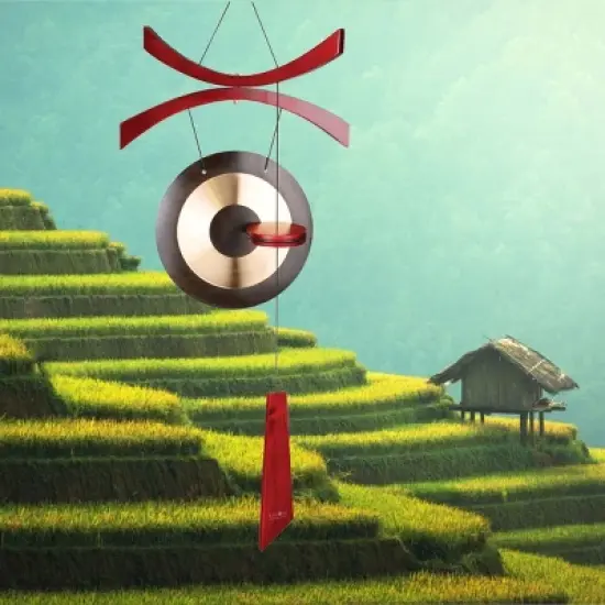 Woodstock Wind Chimes Encore&reg; Collection, Encore Wind Gong, 38'' Brass Wind Gong DCWG image {1}