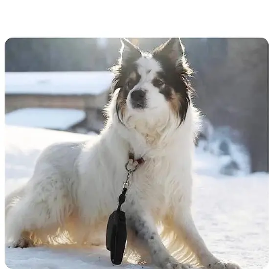 DDOXX 16.4 ft Retractable Dog Leash with Strong Reflective Nylon Strips and Break & Lock System - Black image {4}