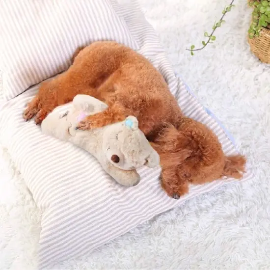Allforpaws Puppy Soothing Warm Bear Comfort Dog Sleep Aid Plush Toy, Suitable as Pet Gift for Christmas, Thanksgiving image {7}