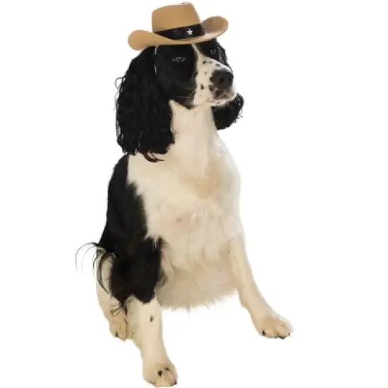 Rubies Brown Cowboy Hat for Pets image {2}