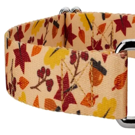 Country Brook Petz Fall Foliage Martingale Dog Collar image {3}