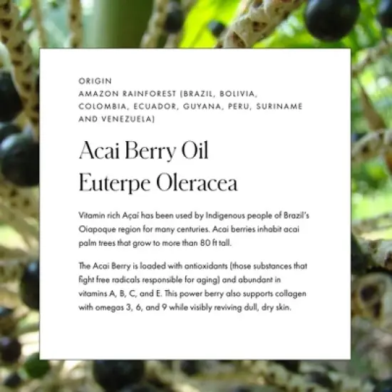 Vamigas &nbsp;Luz De Sur Maqui, Chia, Cactus/Nopal & A&ccedil;a&iacute; Face Oil - 1.35 fl oz image {8}