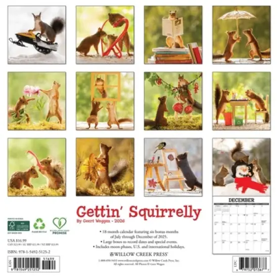 Willow Creek Press 12"x12" 2026 Gettin' Squirrelly Wall Calendar image {1}