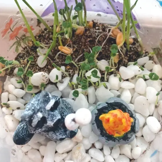 Creativity for Kids Grow N' Glow Terrarium image {6}