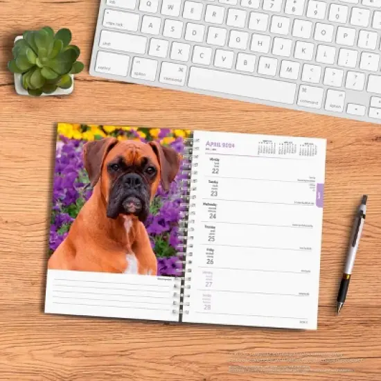 Browntrout 23-2024 Weekly/Monthly Planner 7.5"x7.125" Boxers International Edition image {3}